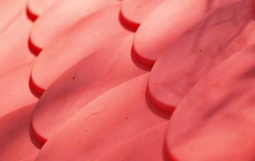 Fen Street plastic roof costs